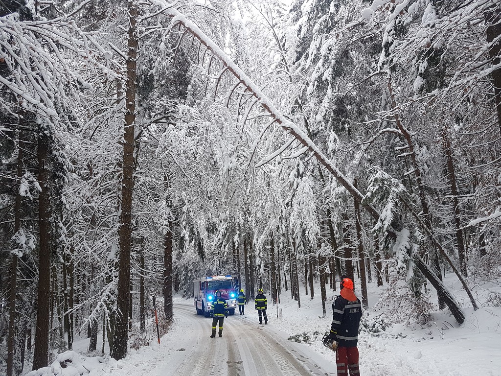 Technischer Einsatz: Baumbergungen