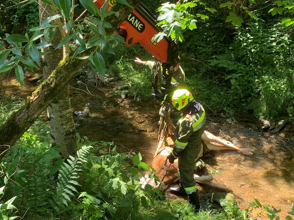 Technischer Einsatz: Tierrettung