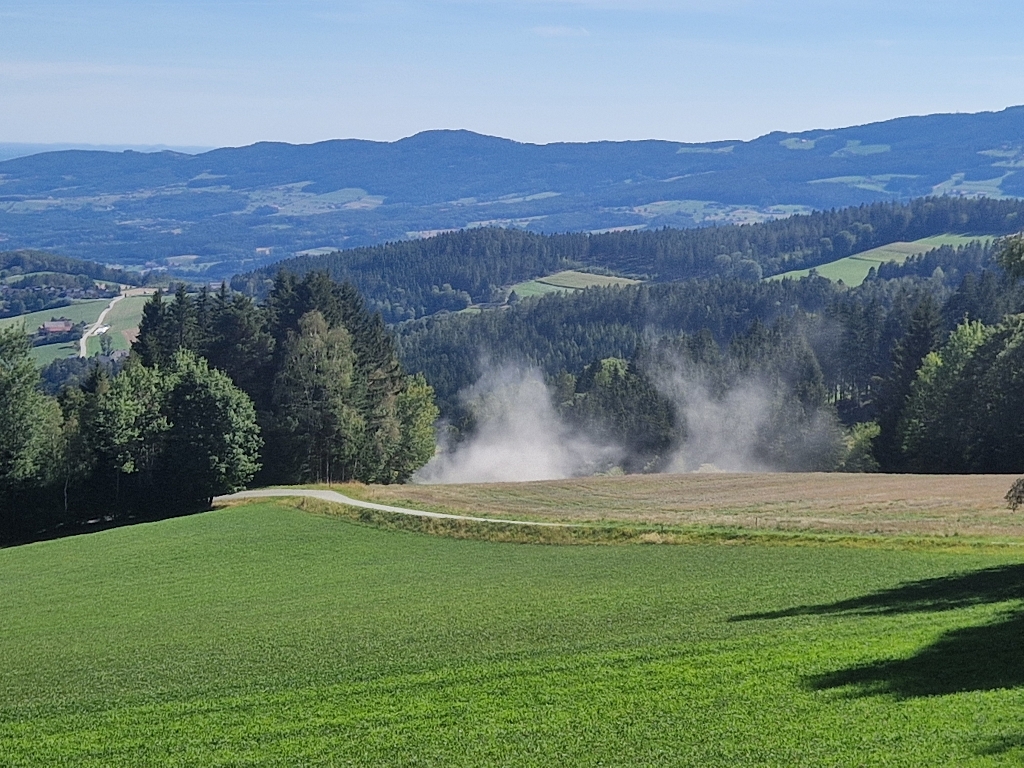 Waldbrand (Täuschungsalarm)